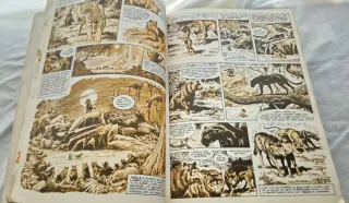 Lote 4 libros egb senda 5 6 8 8