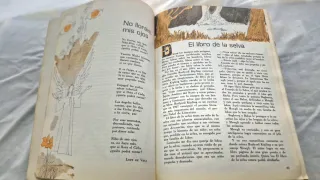 Lote 4 libros egb senda 5 6 8 8