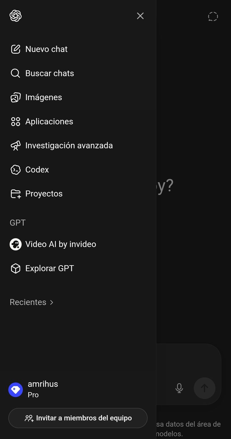 ChatGPT Pro - Cuenta Privada afbeelding 2