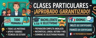 Clases particulares online