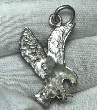 Colgante Plata Ley Águila + Regalo