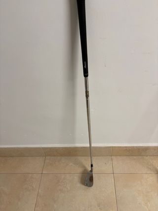 Palo de golf Mizuno P Zoid True