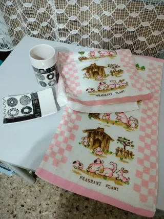 Portacepillos, jabonera y 2 toallitas