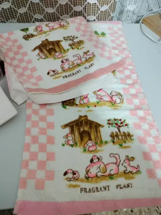 Portacepillos, jabonera y 2 toallitas