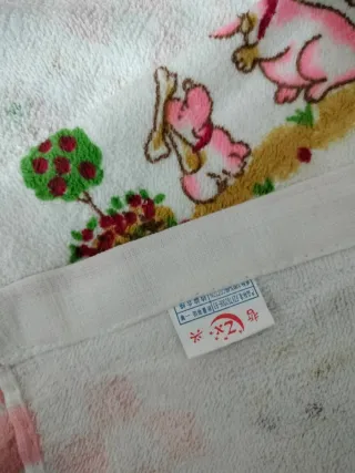 Portacepillos, jabonera y 2 toallitas