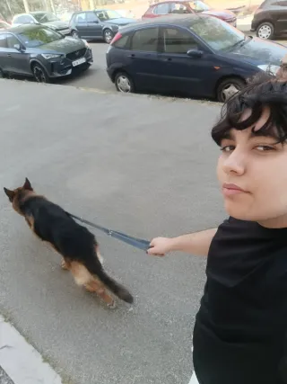 Paseador de perros por Barcelona y alrededores