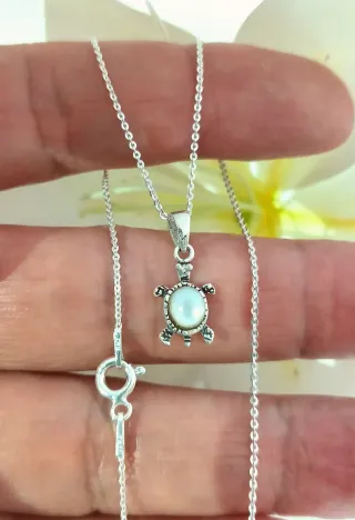 Colgante Tortuga Nácar con cadena Plata Ley 925