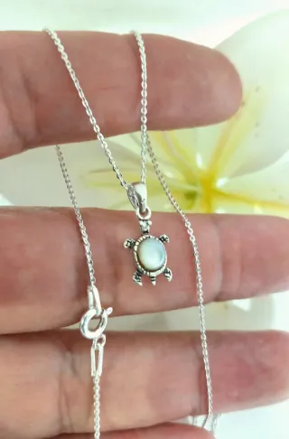 Colgante Tortuga Nácar con cadena Plata Ley 925