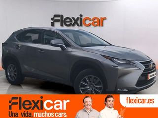 Lexus NX 2.5 300h Business Navigation 2WD