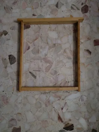 Cuadro Colmena Layen