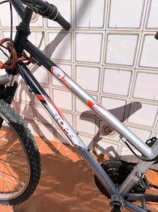 Bicicleta Topbike 24' plateada