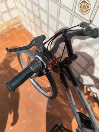 Bicicleta Topbike 24' plateada