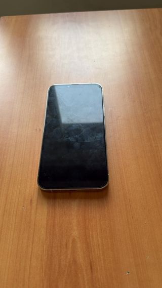 iPhone 13 Pro Max 256gb