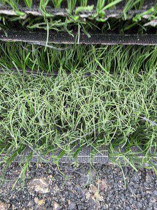 Césped artificial reciclado