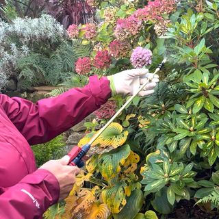 SPEAR & JACKSON pulverizador 5L presión Manual