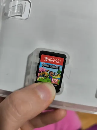 Minecraft Nintendo Switch