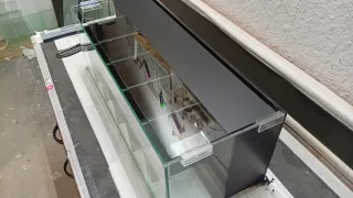 Acuario Bettera con divisiones