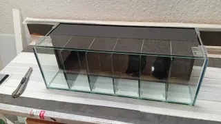 Acuario Bettera con divisiones