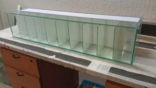 Acuario Bettera con divisiones