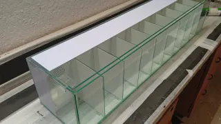 Acuario Bettera con divisiones