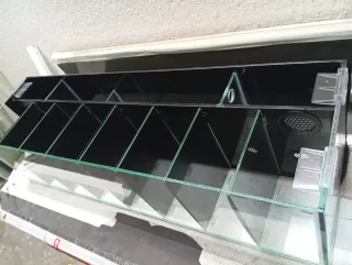 Acuario Bettera con divisiones