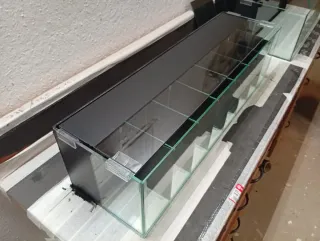 Acuario Bettera con divisiones