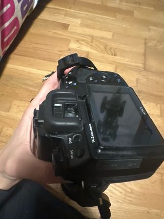 Sony Alpha A450 + Tamron 18-200mm