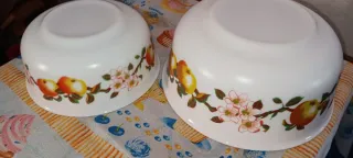 Set 2 Ciotole Arcopal Floreale