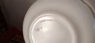 Set 2 Ciotole Arcopal Floreale