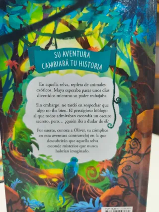 Maya Erikson y el misterio del laberinto