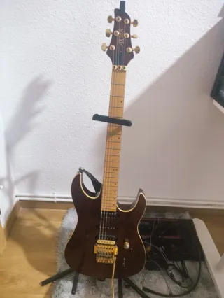 Guitarra Extech con Floyd Rose