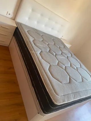 Canapé Canapé Canapé Canapé