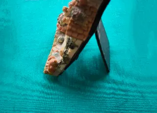 Cornice portafoto vintage, casetta orsetti