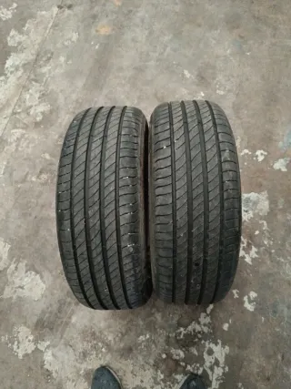 195 55 16 neumaticos