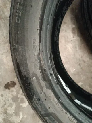 195 55 16 neumaticos