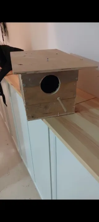 Nidos para Ninfas papilleras