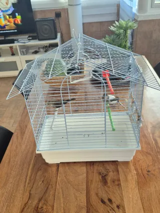 Jaula para canarios plateada y blanca
