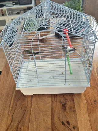 Jaula para canarios plateada y blanca