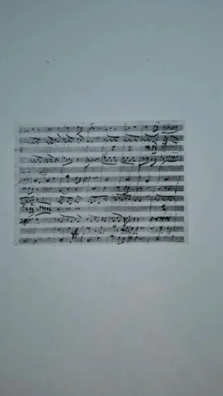 Libro LA belleza de la música. Mozart: vida y obra