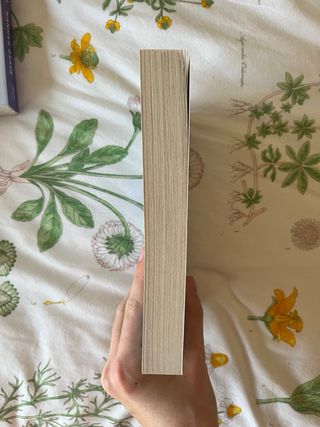 Libro Icebreaker + Twisted Love, en inglés