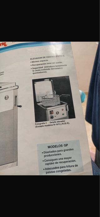 Freidora Industrial 25L