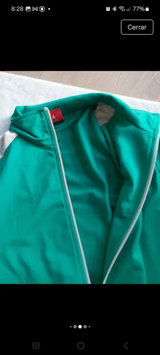 Chaqueta deportiva Puma hombre verde