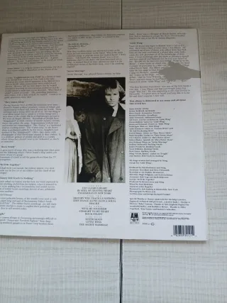 Vinilo Sting - Nothing Like the Sun