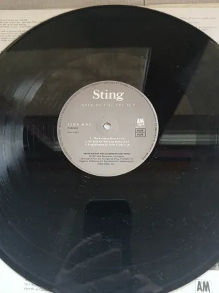 Vinilo Sting - Nothing Like the Sun
