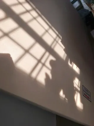 Tapiflex Transpirable Flex Nuevo