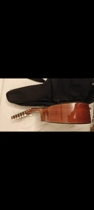 Bandurria Prudencio Saez 130b