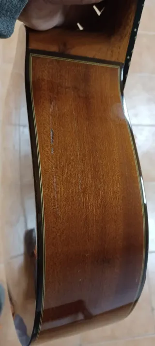 Bandurria Prudencio Saez 130b