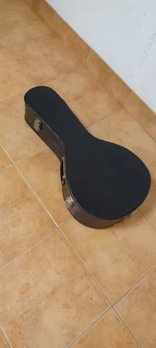 Bandurria Prudencio Saez 130b