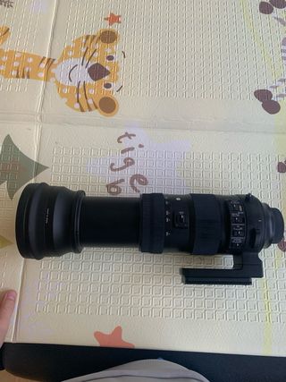 Sigma 150-600mm F5-6.3 DG OS HSM SPORT Nikon