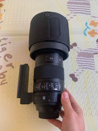 Sigma 150-600mm F5-6.3 DG OS HSM SPORT Nikon